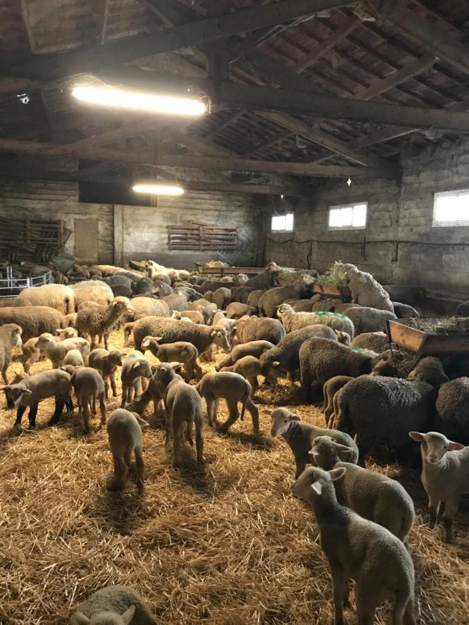 Studio A La Ferme Villa Arles Dış mekan fotoğraf