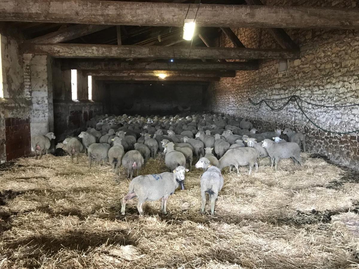 Studio A La Ferme Villa Arles Dış mekan fotoğraf