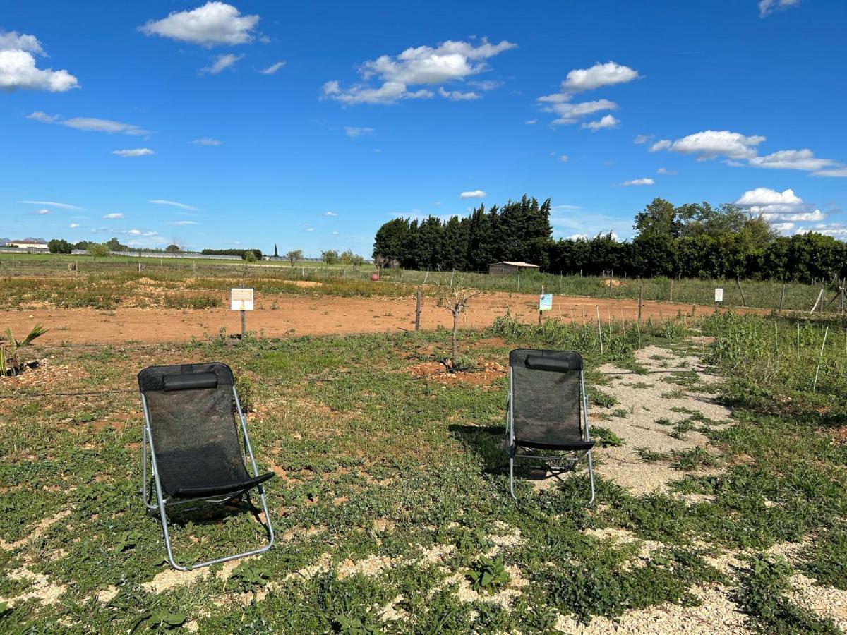 Studio A La Ferme Villa Arles Dış mekan fotoğraf